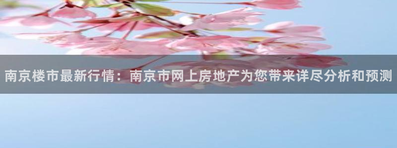 和记怡情h88官网中文版：南京楼市最新行情：南京市网上房地产