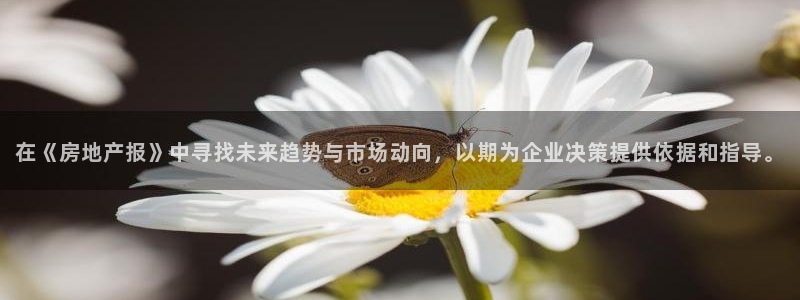 和记3电讯 官网：在《房地产报》中寻找未来趋势与市场动向，以