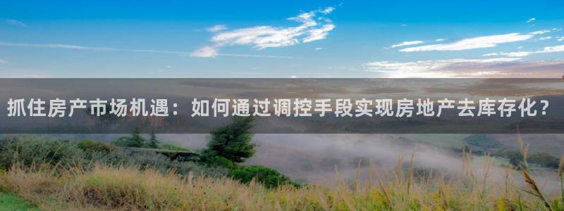 和记官网登录入口：抓住房产市场机遇：如何通过调控手段实现房地