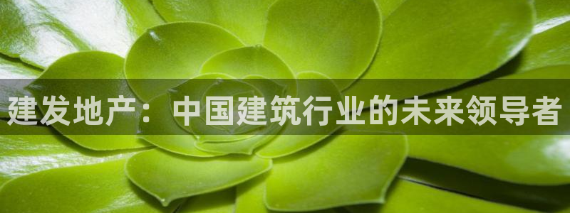 和记官网手机版：建发地产：中国建筑行业的未来领导者