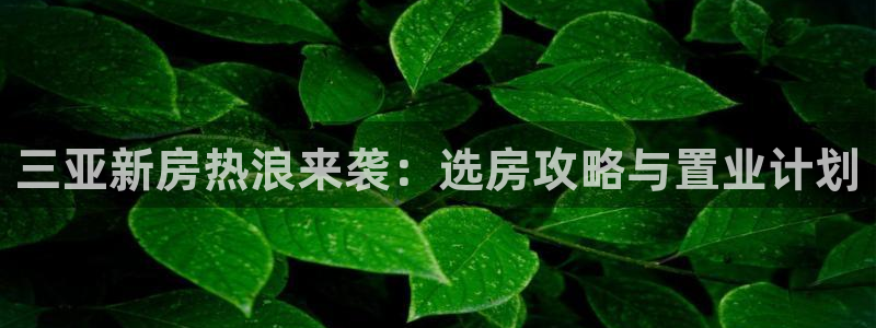 长江和记集团官网：三亚新房热浪来袭：选房攻略与置业计划
