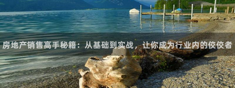 和记电讯 官网：房地产销售高手秘籍：从基础到实战，让你成为行
