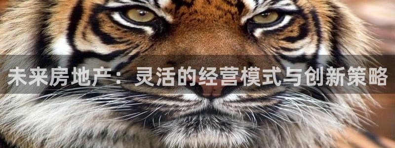 和记大合城dk2官网：未来房地产：灵活的经营模式与创新策略