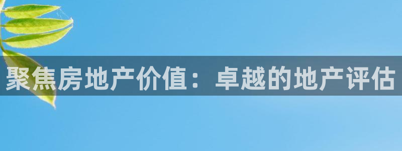 小金库钱包app下载官网和记：聚焦房地产价值：卓越的地产评估