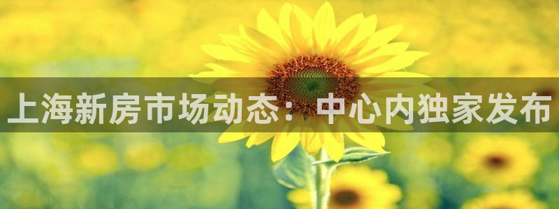 和记怡情赌博官网：上海新房市场动态：中心内独家发布