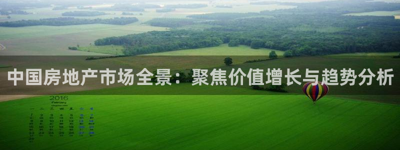 和记黄埔中药公司官网：中国房地产市场全景：聚焦价值增长与趋势