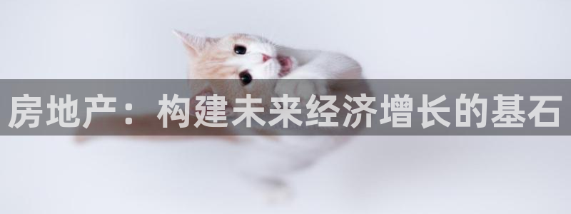 和记娱真好h88285官网：房地产：构建未来经济增长的基石