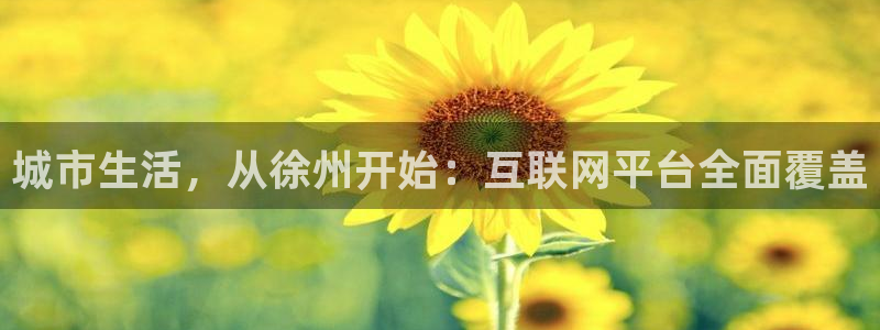 和记手游官网：城市生活，从徐州开始：互联网平台全面覆盖
