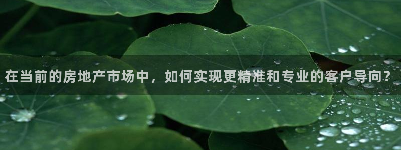 和记官网ap