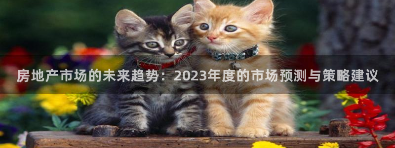 和记怡情赌博官网：房地产市场的未来趋势：2023年度的市场预