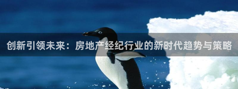 和记官网手机新版app下载：创新引领未来：房地产经纪行业的新