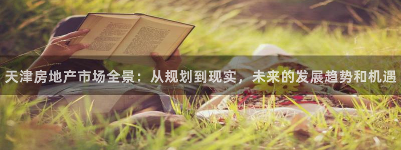 和记平台网站官网：天津房地产市场全景：从规划到现实，未来的发