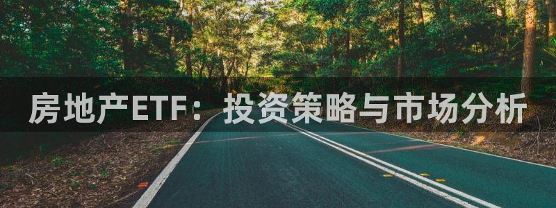和记电讯3官网：房地产ETF：投资策略与市场分析
