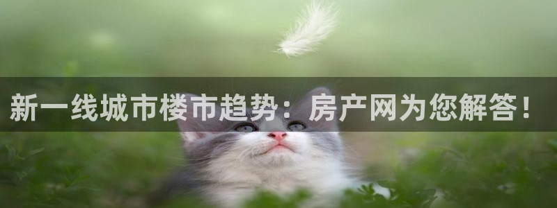 hgc和记官网：新一线城市楼市趋势：房产网为您解答！