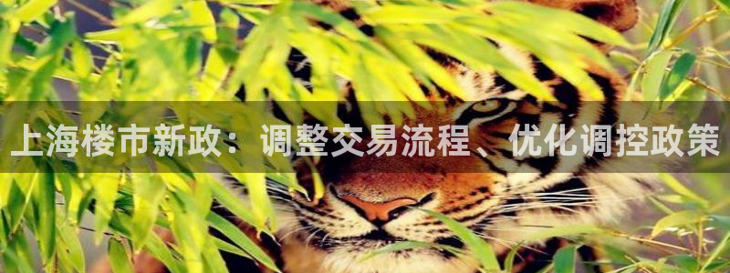 澳门3和记官网：上海楼市新政：调整交易流程、优化调控政策