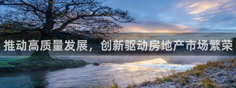 和记港口信托官网：推动高质量发展，创新驱动房地产市场繁荣