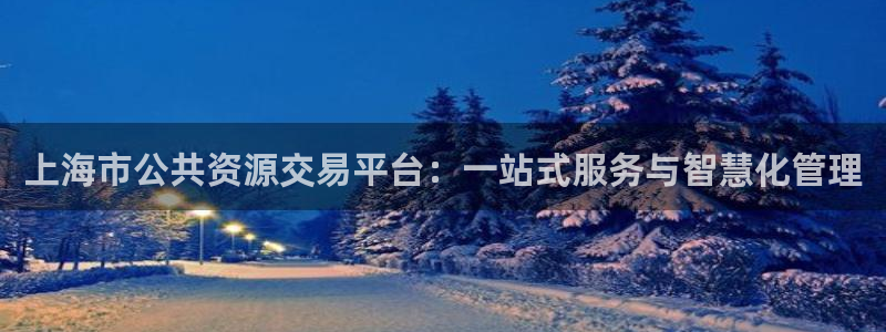和记电讯香港官网：上海市公共资源交易平台：一站式服务与智慧化
