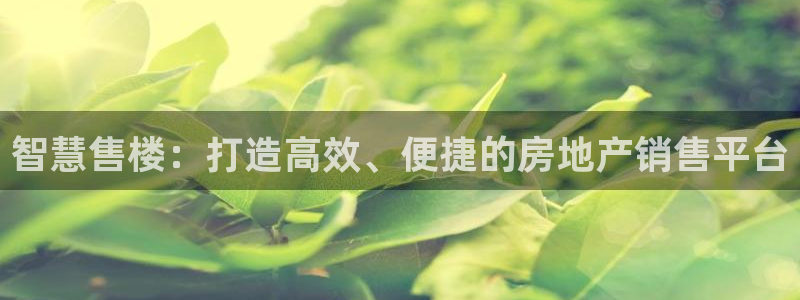 和记3国际万能卡官网：智慧售楼：打造高效、便捷的房地产销售平