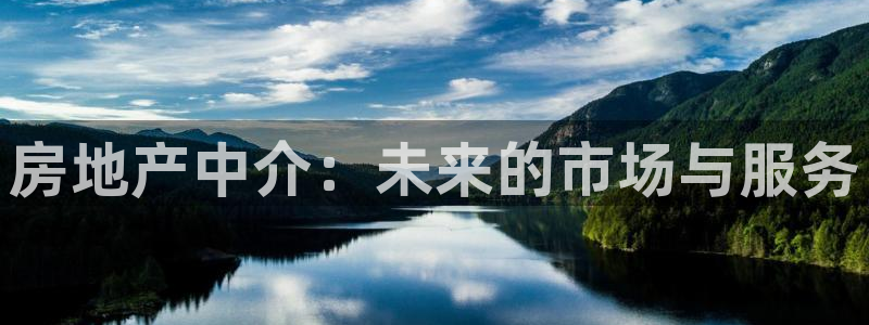和记官网客服app：房地产中介：未来的市场与服务