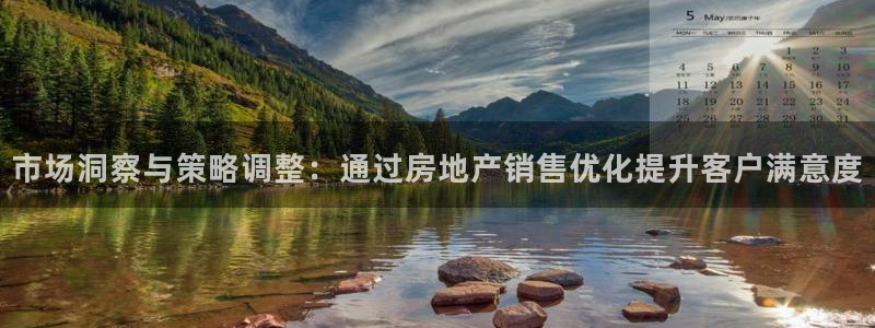 和记电讯官网0机构：市场洞察与策略调整：通过房地产销售优化提