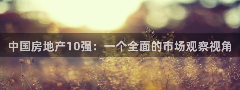 和记娱要多少钱h88285官网：中国房地产10强：一个全面的