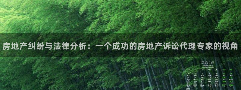 和记官网和记：房地产纠纷与法律分析：一个成功的房地产诉讼代理