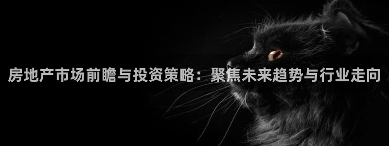 和记娱就问h88285官网：房地产市场前瞻与投资策略：聚焦未