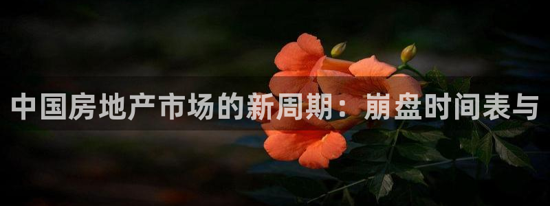 和记3电讯官网：中国房地产市场的新周期：崩盘时间表与