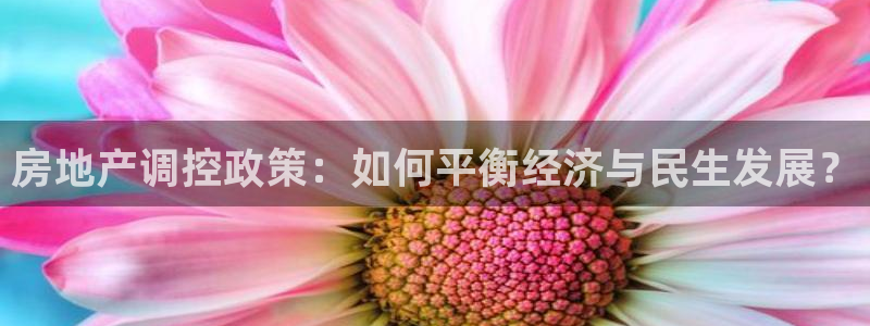 和记手机客户端官网：房地产调控政策：如何平衡经济与民生发展？