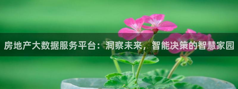 长江和记有限公司 官网：房地产大数据服务平台：洞察未来，智能