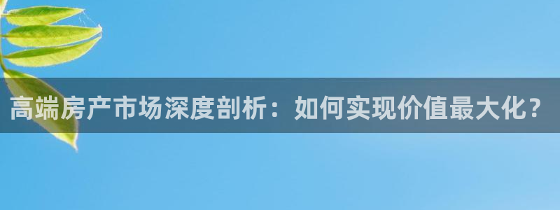 和记电讯app官网：高端房产市场深度剖析：如何实现价值最大化