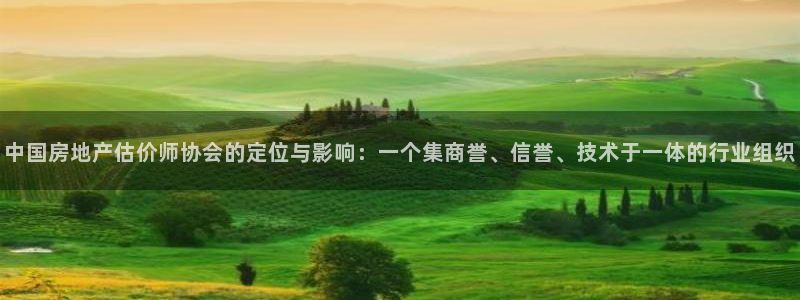 和记官网娱乐场：中国房地产估价师协会的定位与影响：一个集商誉