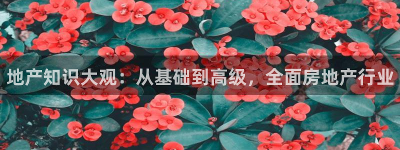香港和记电讯公司官网：地产知识大观：从基础到高级，全面房地产