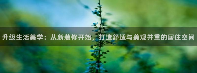 江苏和记伟业官网：升级生活美学：从新装修开始，打造舒适与美观