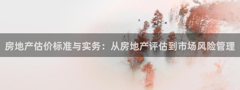 和兴记官网：房地产估价标准与实务：从房地产评估到市场风险管理