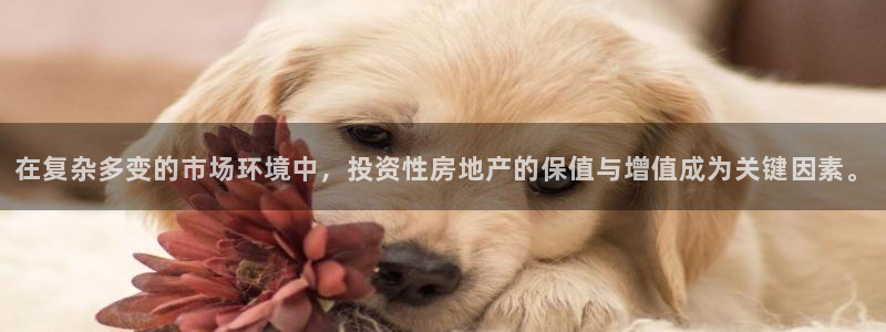 和黄记官网：在复杂多变的市场环境中，投资性房地产的保值与增值