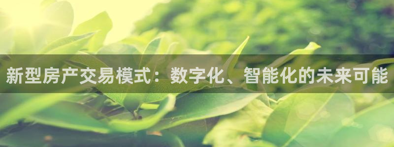 和记hgc官网：新型房产交易模式：数字化、智能化的未来可能