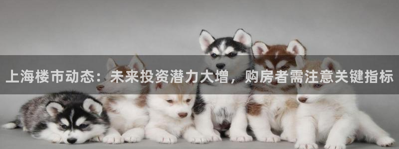 和记娱真心推荐h88285官网：上海楼市动态：未来投资潜力大
