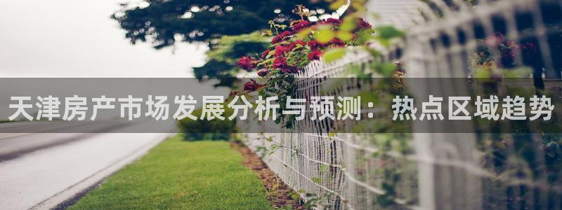 和记3卡官网是哪：天津房产市场发展分析与预测：热点区域趋势
