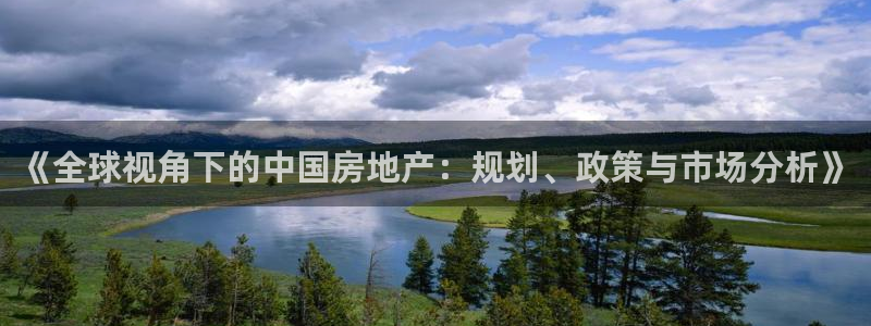 和记官网注册：《全球视角下的中国房地产：规划、政策与市场分析