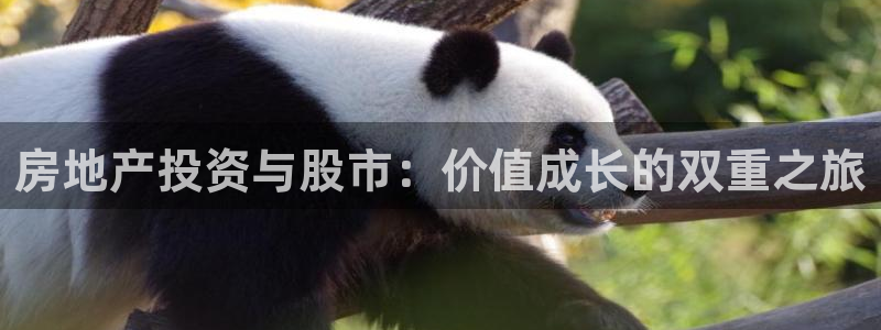 成都和记黄埔官网：房地产投资与股市：价值成长的双重之旅