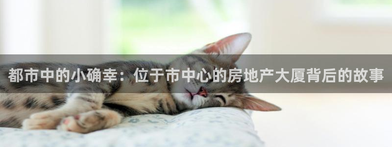 和记电讯 官网：都市中的小确幸：位于市中心的房地产大厦背后的