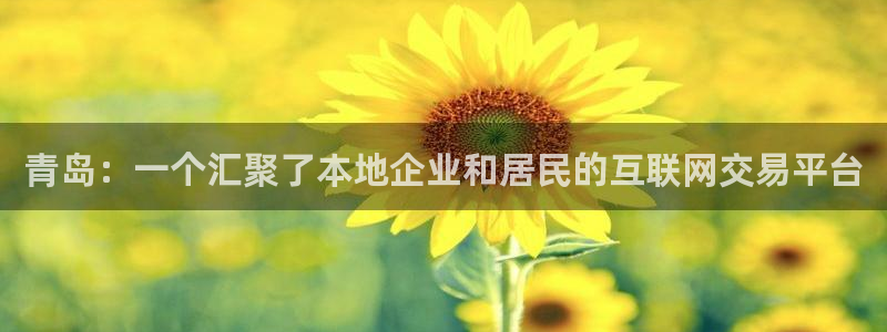 和记3电讯 官网：青岛：一个汇聚了本地企业和居民的互联网交易