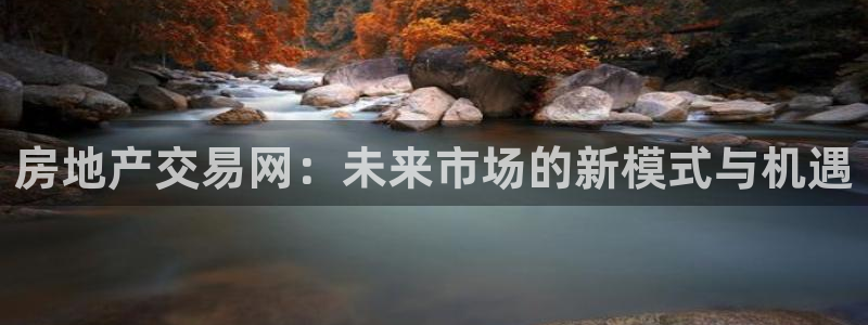 和记官网手机版：房地产交易网：未来市场的新模式与机遇