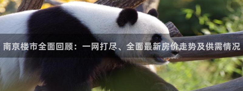 和记官网娱乐场：南京楼市全面回顾：一网打尽、全面最新房价走势