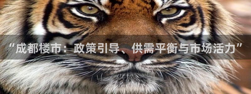 和记电官网：“成都楼市：政策引导、供需平衡与市场活力”