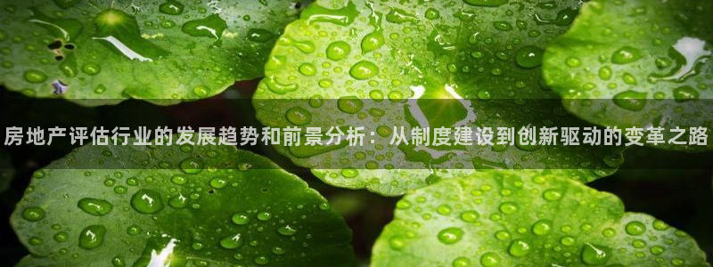 澳门和记官网娱乐场：房地产评估行业的发展趋势和前景分析：从制