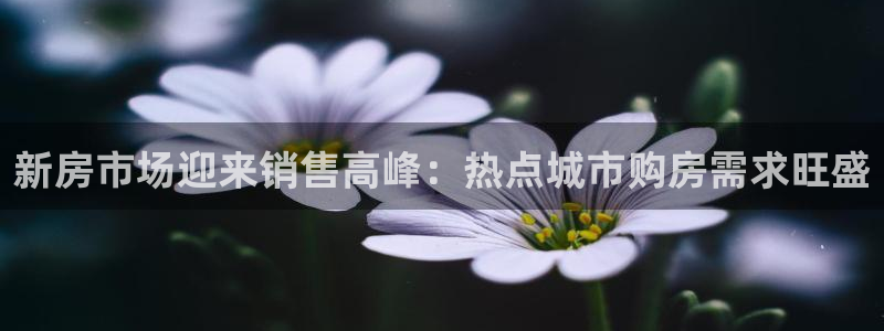 重庆和记黄埔官网：新房市场迎来销售高峰：热点城市购房需求旺盛