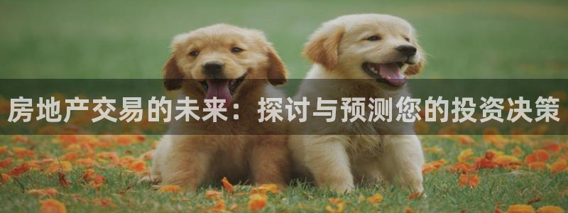 和记娱乐h88官网：房地产交易的未来：探讨与预测您的投资决策