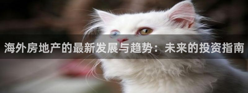和记娱答疑h88285官网：海外房地产的最新发展与趋势：未来